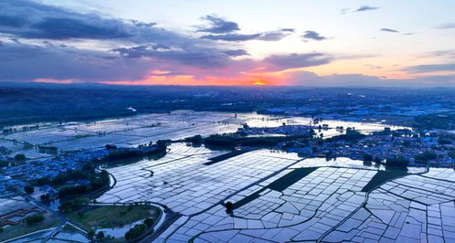 乌兰浩特天气预报7天-乌兰浩特天气预报7天查询结果是什么-第2张图片-雾华天气