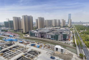 奉贤天气预报24小时查询-奉贤区天气预报实时-第1张图片-雾华天气