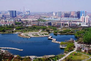 2023邯郸今日限行-2023邯郸今日限行几号-第1张图片-雾华天气