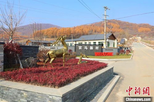 乾安天气预报15天-乾安天气预报15天查-第2张图片-雾华天气
