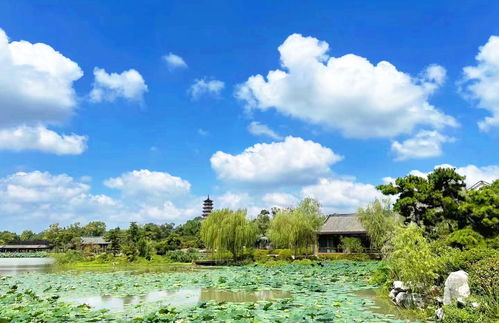 苏州市天气预报7天气-苏州市天气预报7天-第3张图片-雾华天气