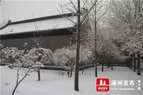 涿州天气预报30天查询-涿州天气预报15天查询结果-第1张图片-雾华天气