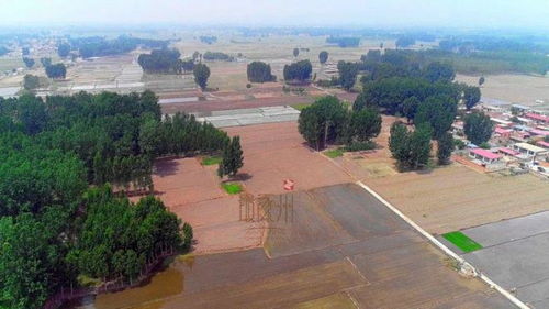 涿州天气预报30天查询-涿州天气预报15天查询结果-第3张图片-雾华天气
