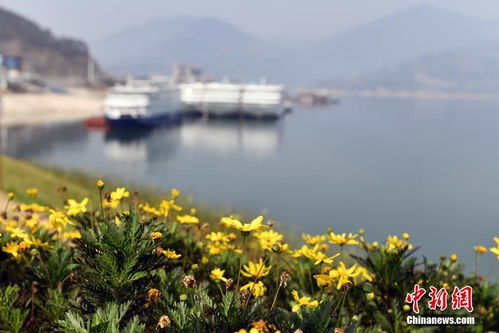 湖北宜昌天气预报一周天气-宜昌天气情况-第2张图片-雾华天气