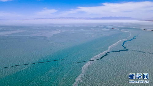 青海湖天气预报15天气报旅游-青海湖天气预报15天查询天-第1张图片-雾华天气