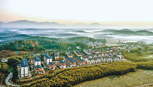 新干天气预报15天-新干天气预报15天查询百度-第2张图片-雾华天气