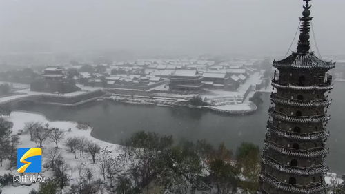 山东滨州天气预报15天-山东滨州天气预报15天查询2345-第1张图片-雾华天气