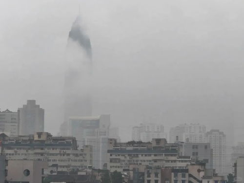 温州天气预报15天准确预测数据-温州天气预报15天30天-第2张图片-雾华天气