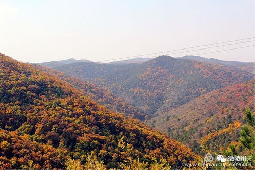 陵川天气预报15天查询百度百科-陵川天气预报15天-第2张图片-雾华天气