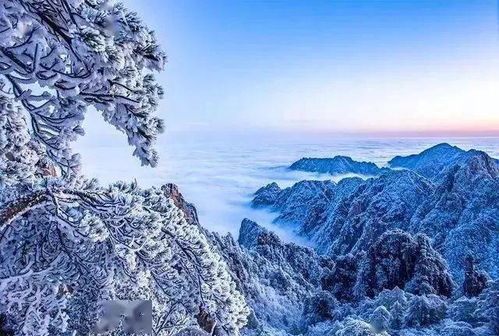 黄山山上实时天气-黄山山天气15天预报-第2张图片-雾华天气