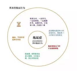 上海外牌限行时间表-上海外牌限行时间表图片-第3张图片-雾华天气
