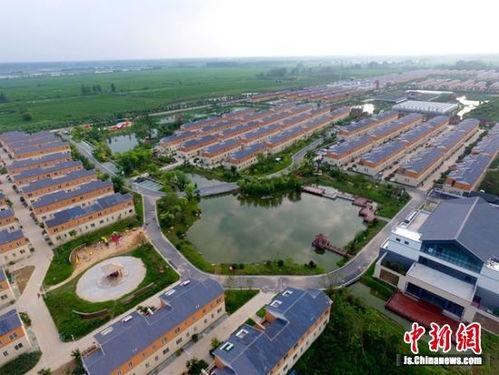 睢宁天气预报30天查询百度-睢宁天气预报30天-第1张图片-雾华天气