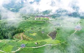 建三江天气预报15天-建三江天气预报15天天气曲线图-第3张图片-雾华天气