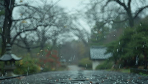 沧州天气预报几点下雨-沧州天气预报几点下雨呀-第1张图片-雾华天气