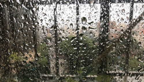 沧州天气预报几点下雨-沧州天气预报几点下雨呀-第3张图片-雾华天气