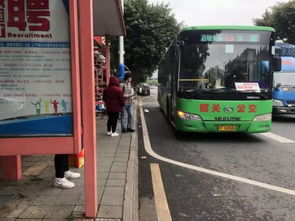 公交时刻表在线查询-903路公交车路线时间表-第2张图片-雾华天气