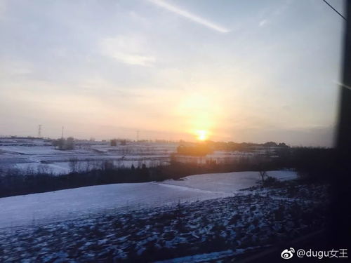 洛阳市天气预报15天查询结果-洛阳市天气预报15天-第1张图片-雾华天气