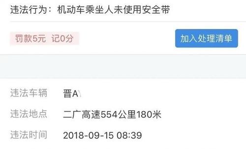 外地车牌不小心进入限行区域上海-外地车牌不小心进入限行区域-第3张图片-雾华天气