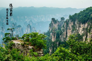 石门天气预报15天查询-石门天气预报15天查询百度-第2张图片-雾华天气