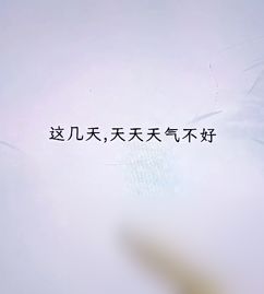 今天的天气-今天的天气预报24小时的天气情况-第1张图片-雾华天气