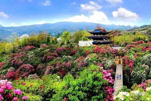 毕节天气预报一周天气-毕节天气预报一周15天-第2张图片-雾华天气