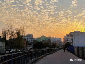 钦州天气预报一周7天-钦州天气预报一周7天详情表-第2张图片-雾华天气