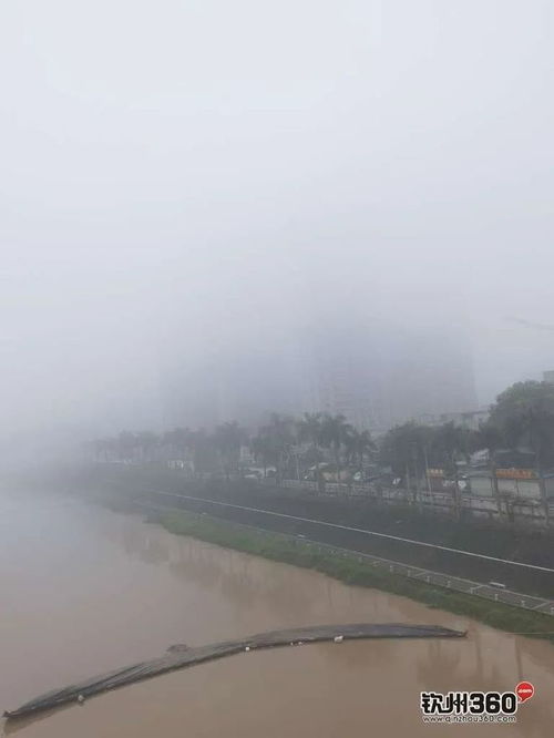 钦州天气预报一周7天-钦州天气预报一周7天详情表-第1张图片-雾华天气