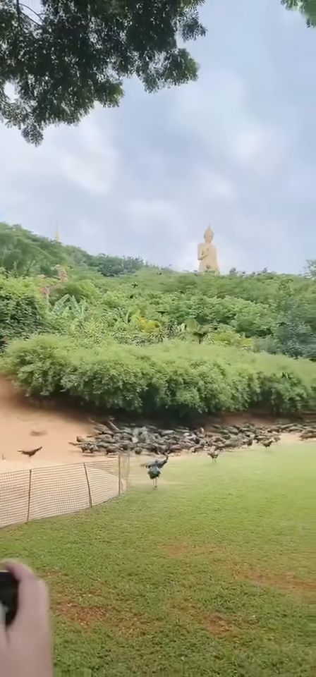 扬州天气15天预报查询23456-江苏扬州天气预报15天查询-第3张图片-雾华天气