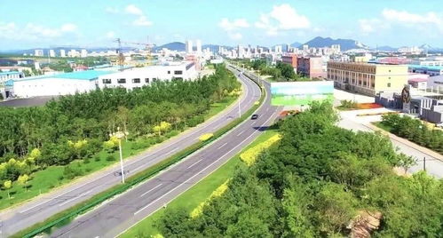 依安天气预报一周-依安天气预报一周15天查询-第1张图片-雾华天气