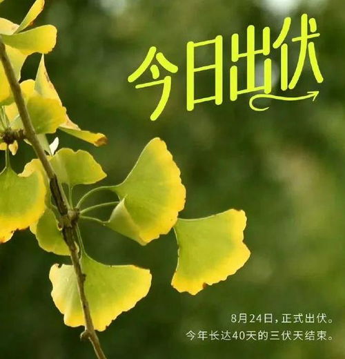 南昌15天天气预报-南昌30天天气预报-第2张图片-雾华天气