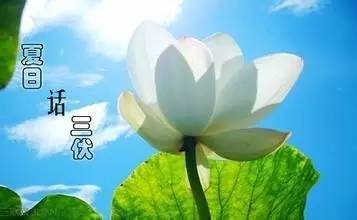 南昌15天天气预报-南昌30天天气预报-第3张图片-雾华天气