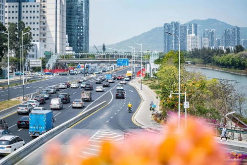 外地牌深圳限行时间最新规定2023年-外地牌深圳限行时间最新规定-第1张图片-雾华天气