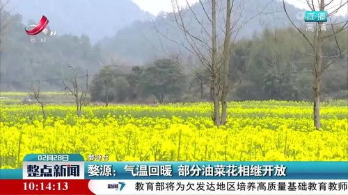 江西婺源天气预报7天准确一览表图片-江西婺源天气预报7天-第2张图片-雾华天气