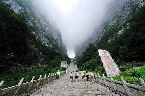 张家界天门山天气预报-张家界天门山天气预报7天景区-第1张图片-雾华天气