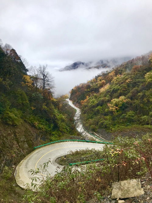 留坝天气预报-留坝天气预报30天查询-第2张图片-雾华天气
