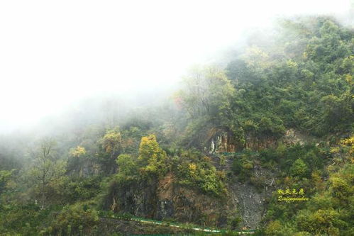 留坝天气预报-留坝天气预报30天查询-第3张图片-雾华天气