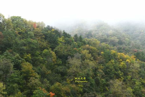 留坝天气预报-留坝天气预报30天查询-第1张图片-雾华天气