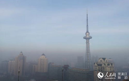 哈尔滨未来一周天气预报-黑龙江天气预报15天气-第3张图片-雾华天气