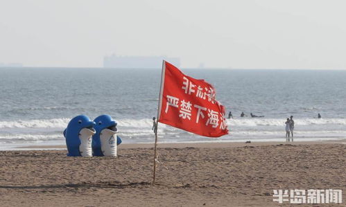 聊城未来十五天天气预报-聊城市未来十天天气预报-第2张图片-雾华天气