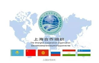 青岛今天限行多少号-青岛今天限行多少号车-第2张图片-雾华天气