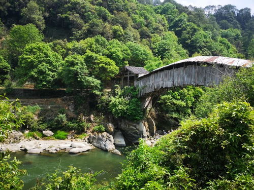 龙川天气预报15天查询-龙川天气预报15天查询当地-第1张图片-雾华天气