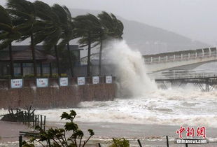 三亚市天气预报-三亚市天气预报7日-第3张图片-雾华天气