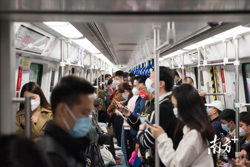 深圳限行规定-外来车进深圳限行规定-第2张图片-雾华天气