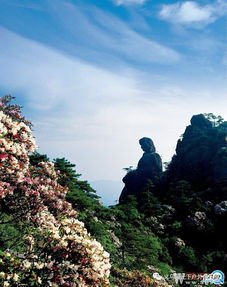 玉山天气预报30天-玉山天气预报30天准确率-第3张图片-雾华天气