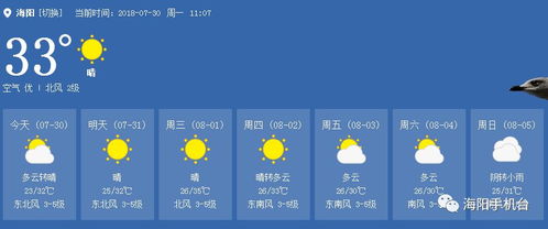 海阳天气预报一周天气预报15天查询-海阳天气预报15天30天-第2张图片-雾华天气