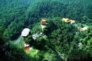 滨州天气预报7天查询-滨州天气预报7天-第3张图片-雾华天气