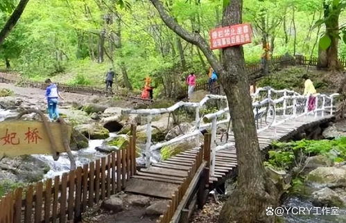 滨州天气预报7天查询-滨州天气预报7天-第2张图片-雾华天气