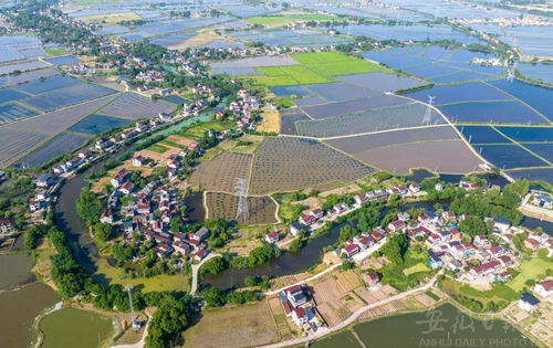 庐江县天气预报预计-安徽省合肥市庐江县天气预报-第1张图片-雾华天气