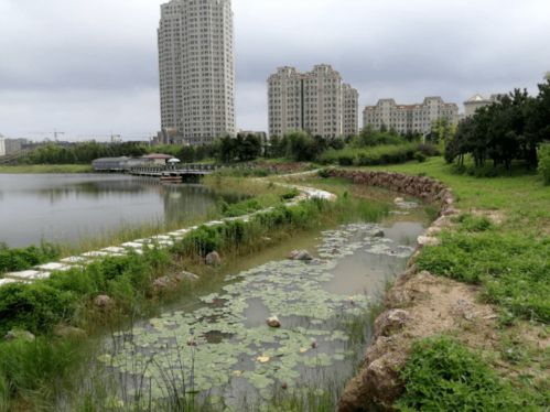 庄河天气预报一周-庄河天气预报一周15天-第3张图片-雾华天气