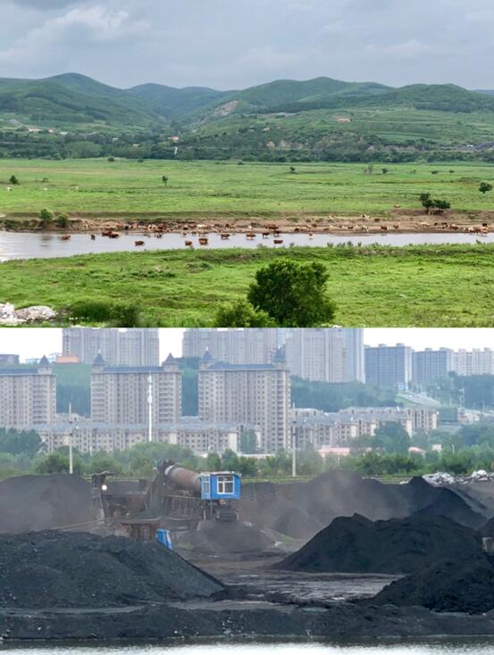 虎林天气预报天气王-虎林天气预报天气-第1张图片-雾华天气
